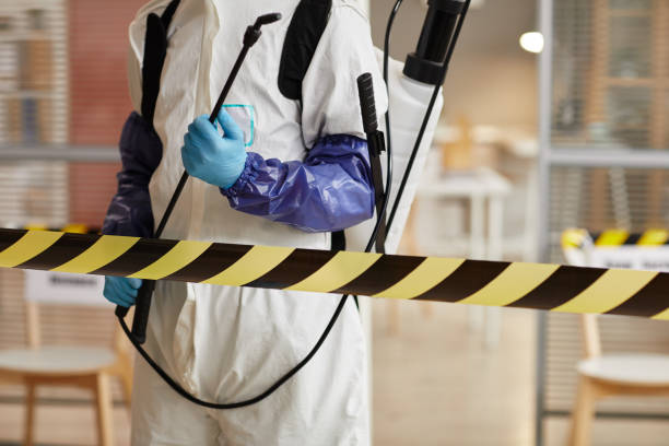 Professional Sewage Cleanup technician working in Union City, MI